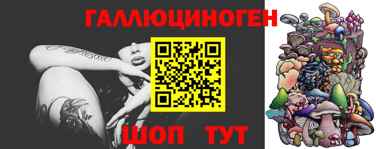 Галлюциногенные грибы Psilocybe  Псилоцибиновые грибы Cubensis  Вход с VPN  Нижнеудинск 