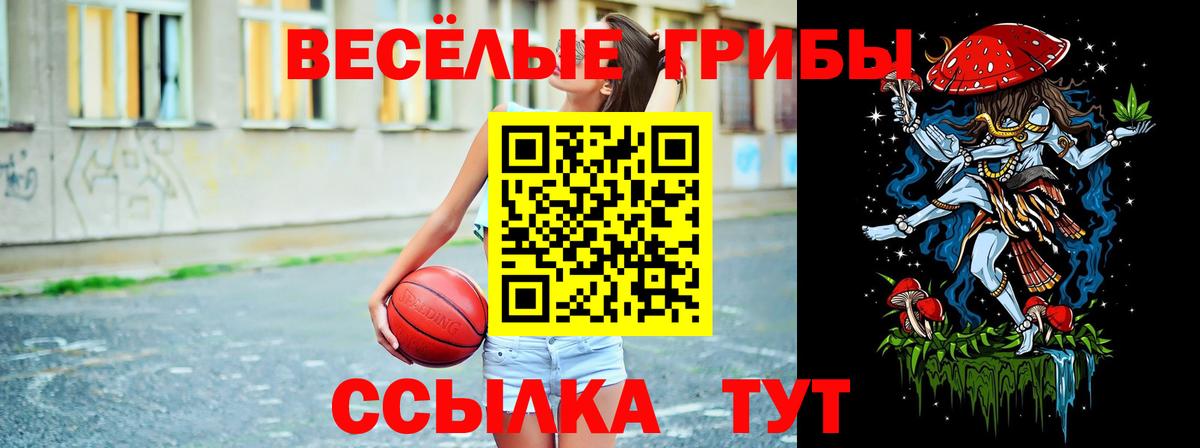 Псилоцибиновые грибы прущие грибы Нижнеудинск